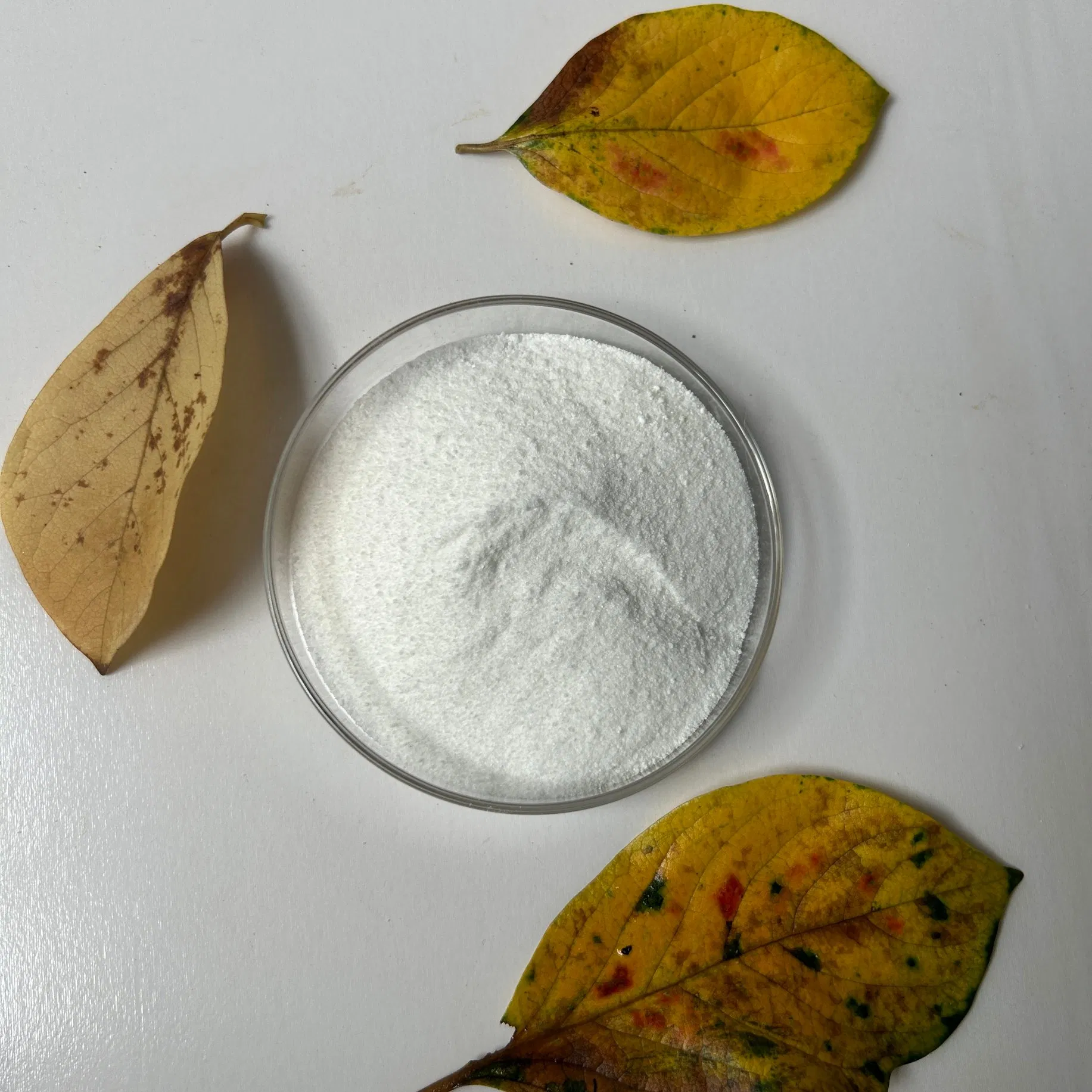 CAS No. 527-07-1 Factory Supply Industry Grade Sodium Gluconate for Used for Retarding Effect