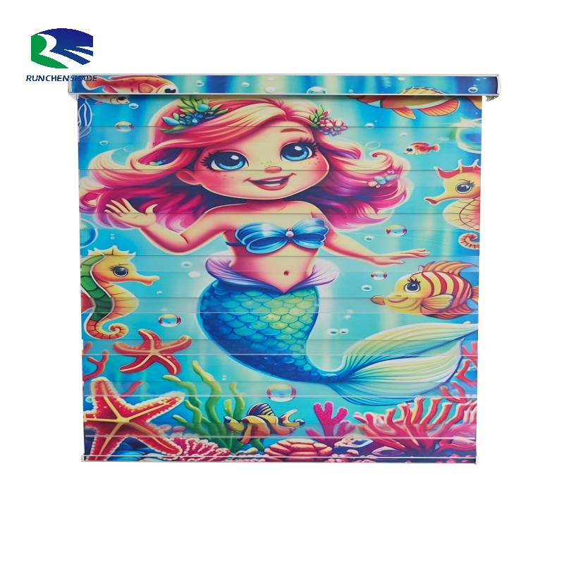 Zebra Blinds Electric Motorized Curtain Pure Color Printed Style Roller Shades Everyday Use Built-in Plain