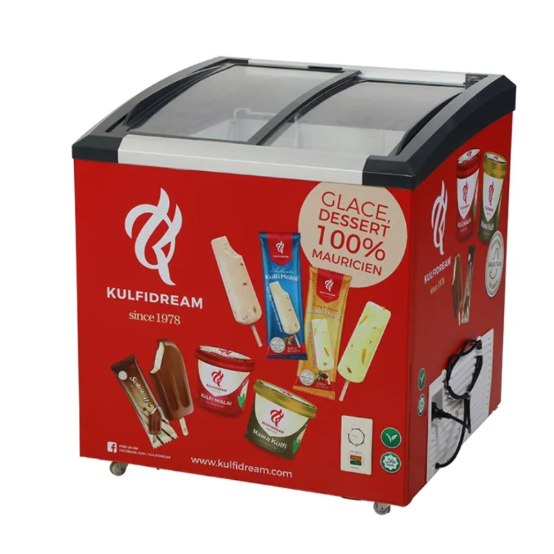Solar Battery Operated Portable Refrigerator 5.93 Cu. FT DC Fridge
