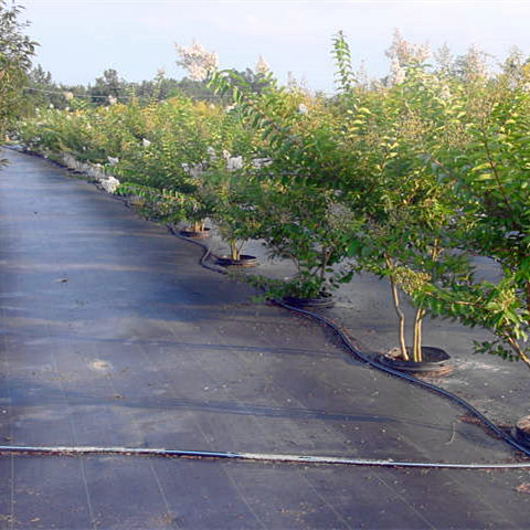 Hot Sell Black Weed Control Fabric Garden Plants Vegetables Ground Cover Anti-Weed Mat