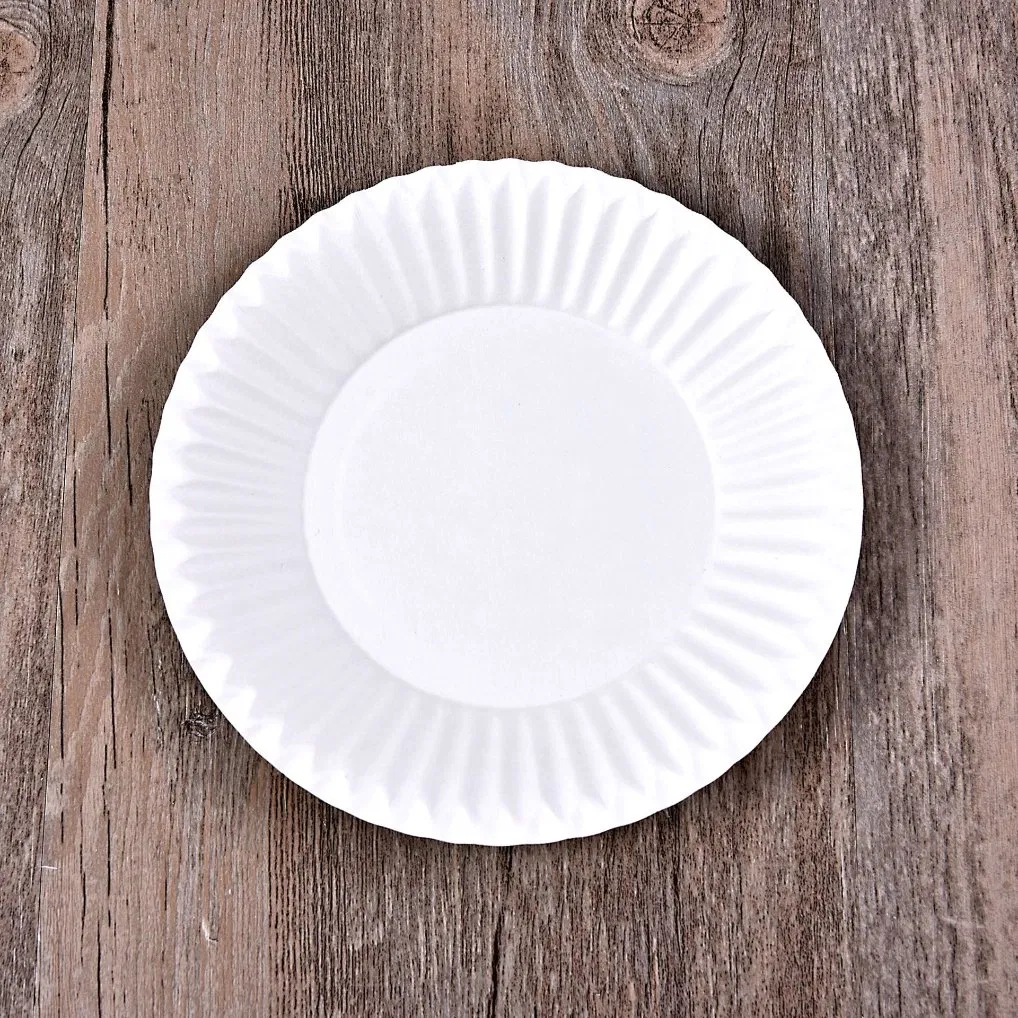 Wholesale Cake Plate Sugar Cane Pulp Plate White Disposable Paper Plate Bagasse