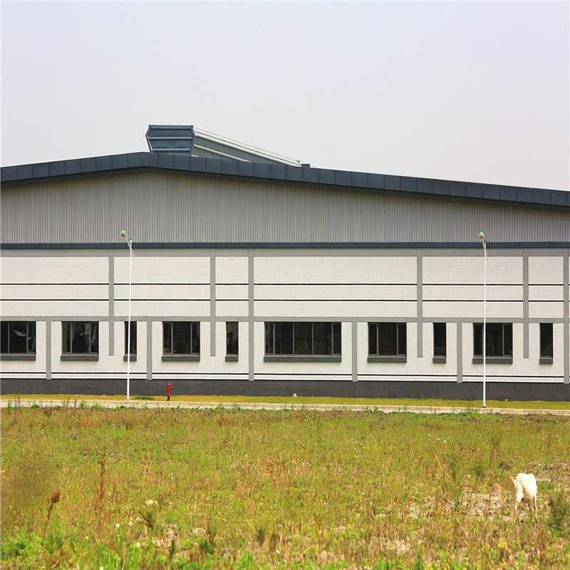 Steel Structure Building/Horse Arena