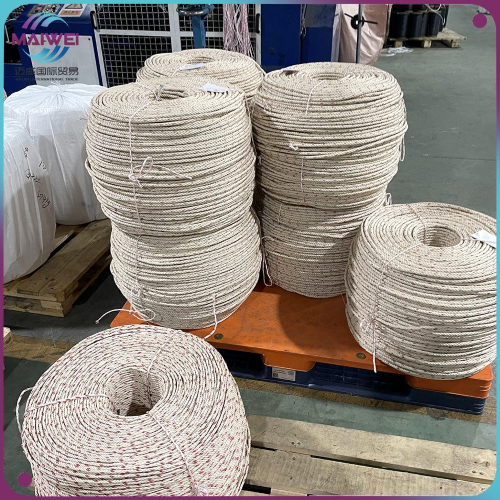 Polyethylene/PE Polypropylene/PP Fishing Marine Mooring Packing Rope Plastic Tali