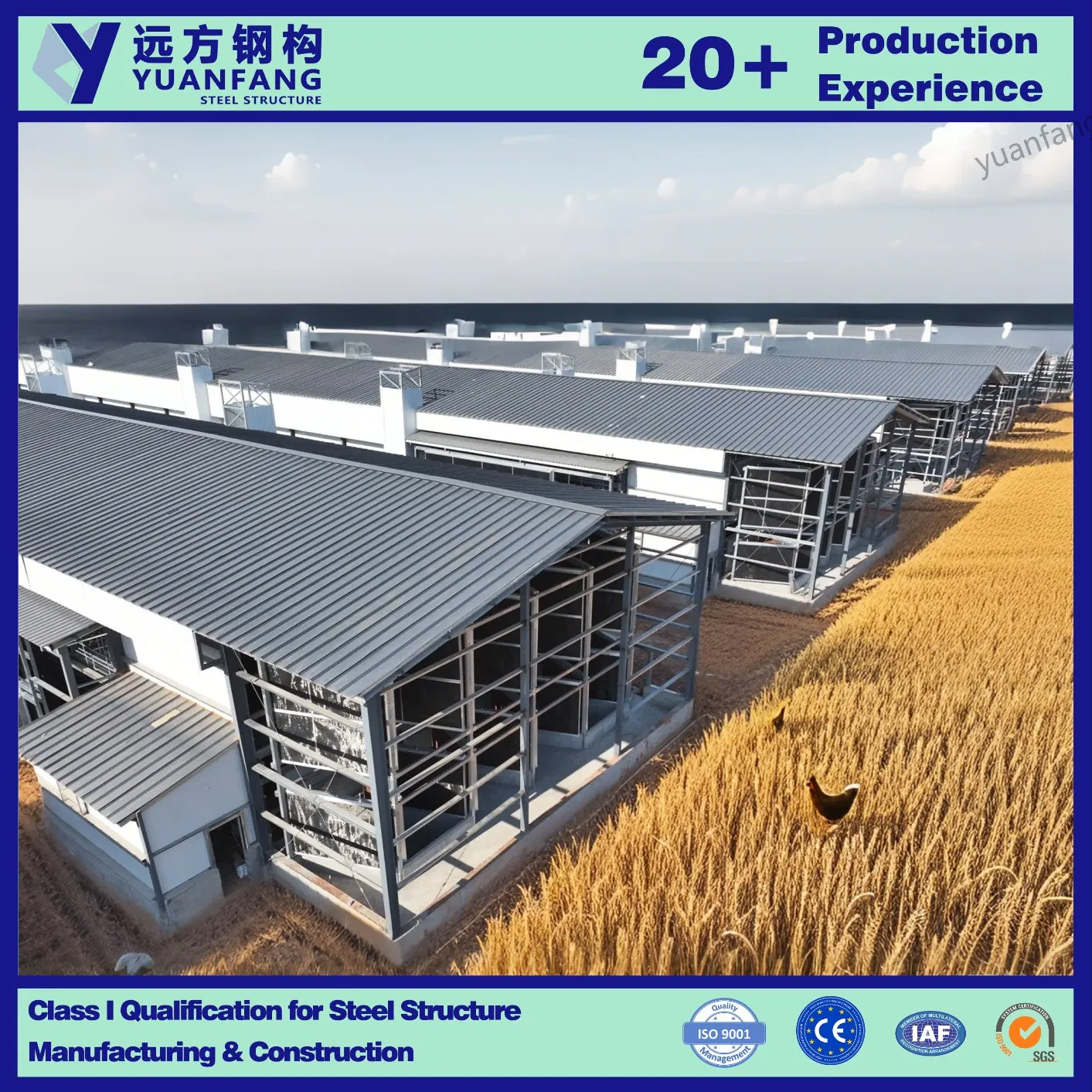 Modular & Prefabricated Steel Structure Building of Steel Structure Chicken House / Warehouse for Factory
