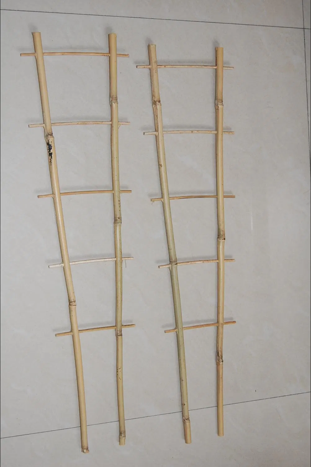 Bamboo Trellis Fan Trellis Bamboo Ladder