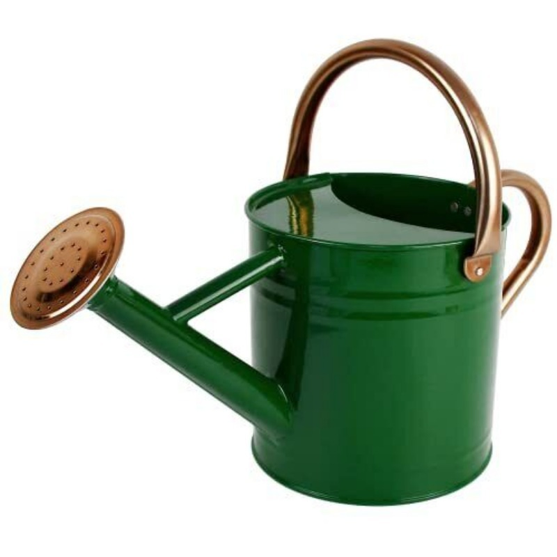 Inexpensive 0.6gallon Stable Everyday Use Plastic Irrigation Equipment Garden Furniture Watering Can