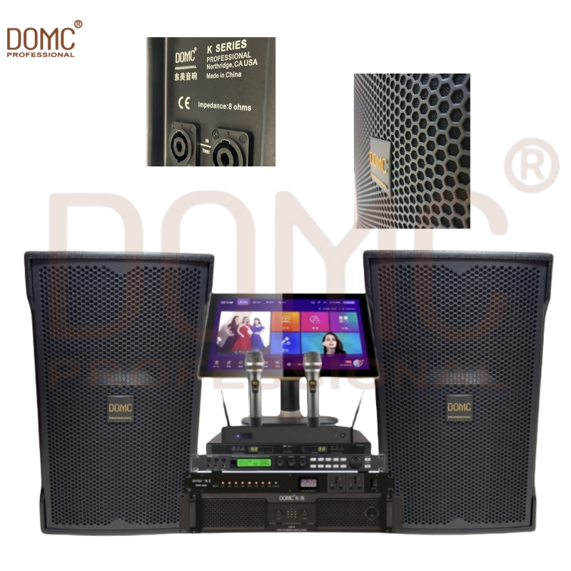 High-Power 15-Inch Domc K215 PRO Stage Speaker for Events