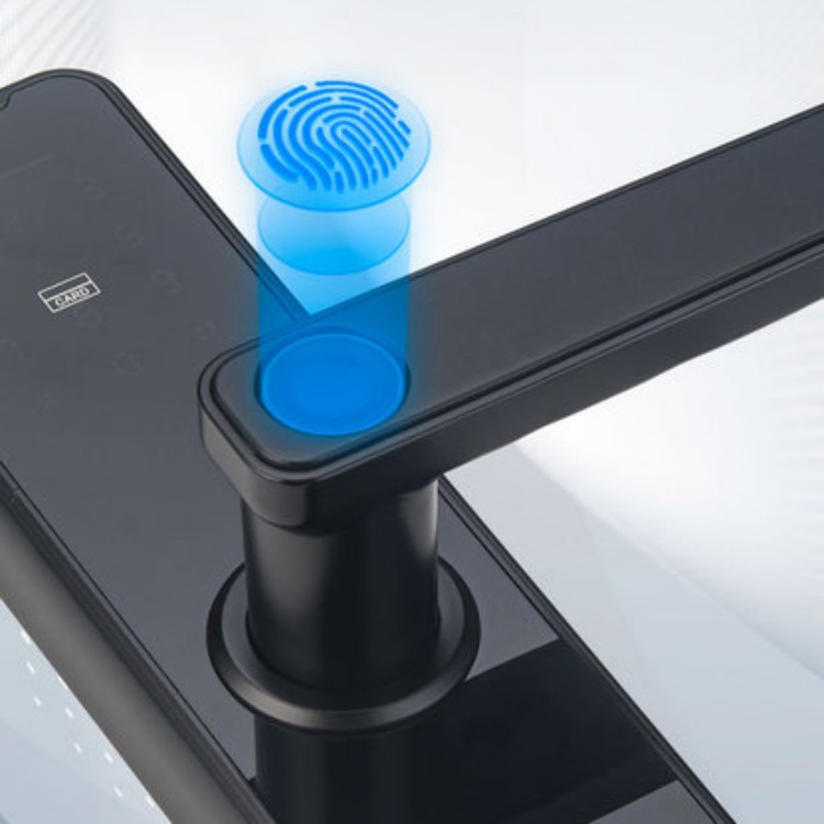 Handle Typle One Fingerprint Unlock Smart Lock