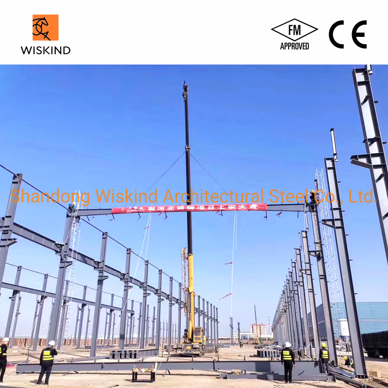 Professional Prefabricated Steel Building for Warehouse/Steel Shed/Workshop/Storage/Steel Structure/Construction Building with FM/CE/Q235B/Q355b