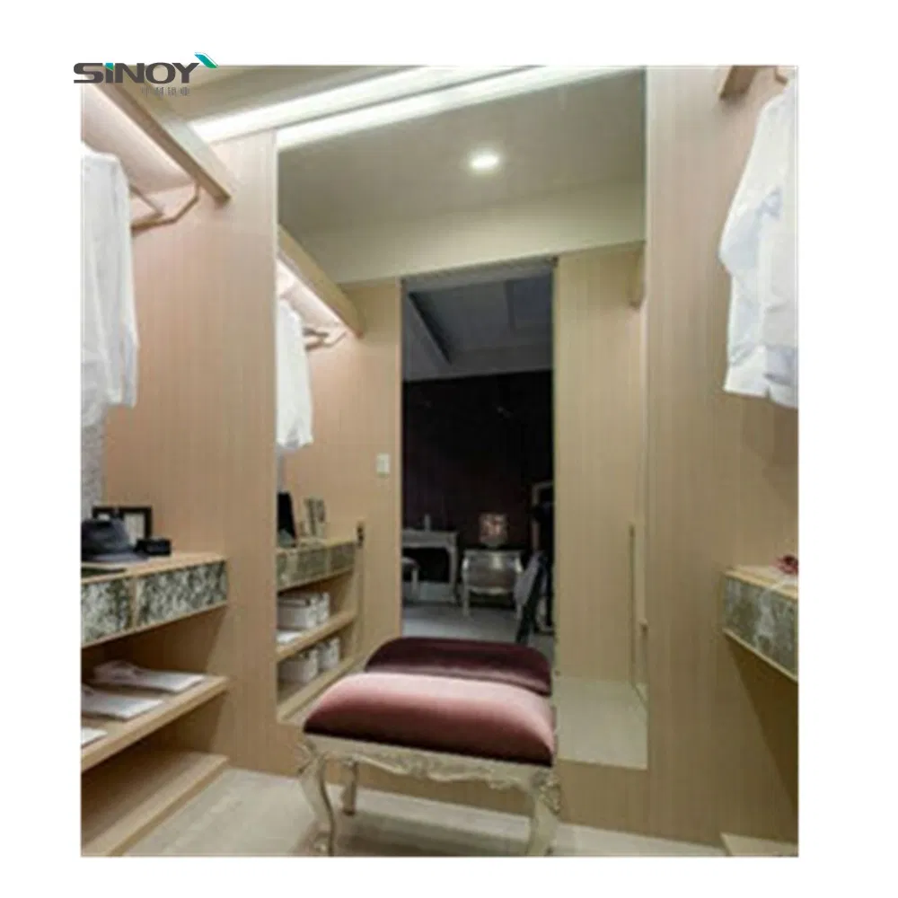 Vintage Luxury Floor Stand Mirror Full-Length Large Dressing Wall Mirror Pieces in Bedroom Changing Room Cloakroom Locker Room
