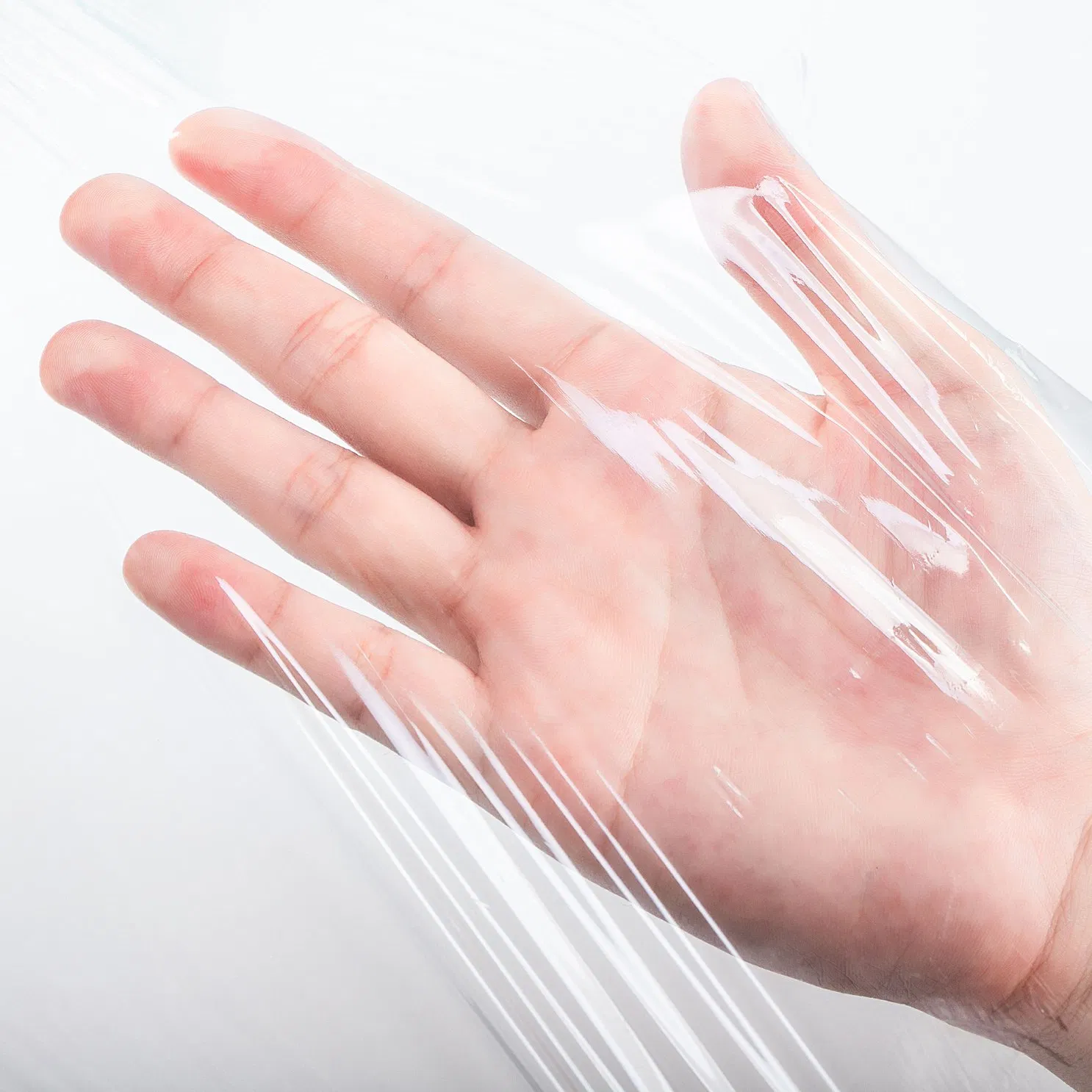 Premium Quality PLA Cling Wrap for Refrigerator Use