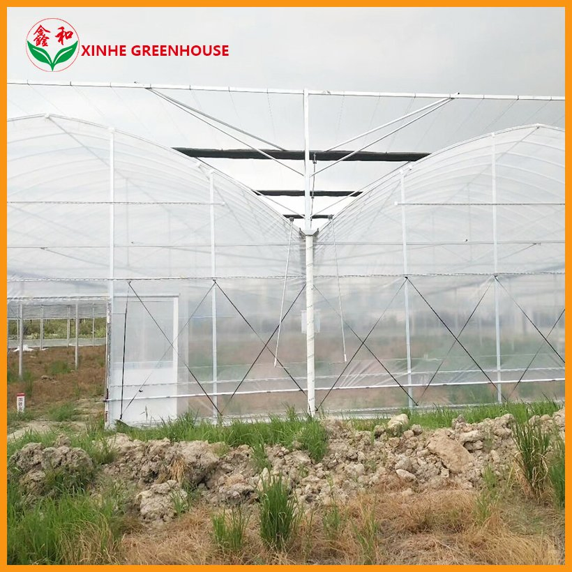 Manufacture Hot DIP Galvanized Steel Garden Hydroponics Green House with Insulation System