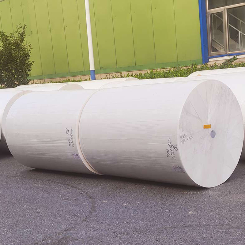 Wholesale Tissue Mother Roll/Parent Roll/Jumbo Roll for Making Toilet Paper