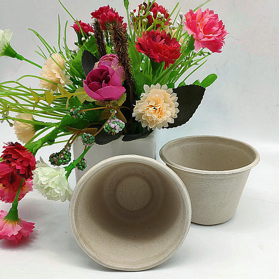 Compostable Bagasse Paper Pulp Cup 140ml for Ice Cream Dessert