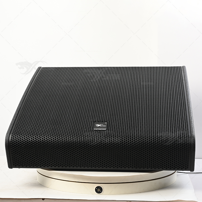 Professional Dual 12 Inch Stage Monitor Speaker for Musicians (Vtx M22)