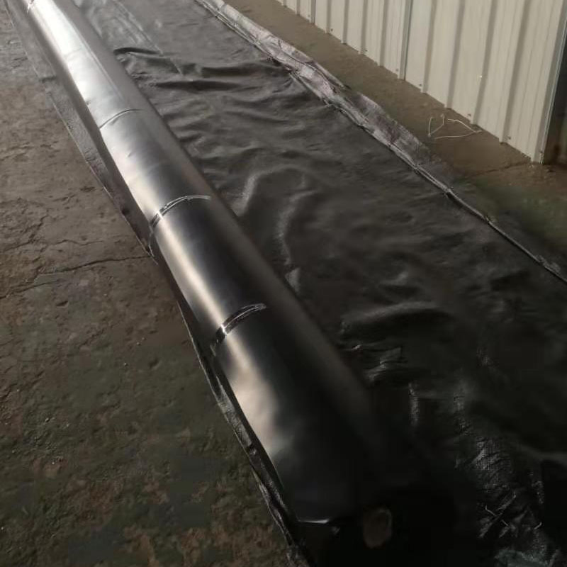 Waterproof Black HDPE Geomembrane Sheet for Pond Liner