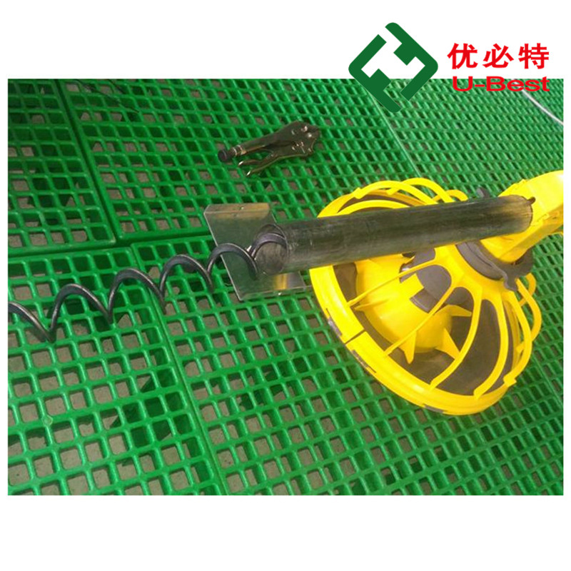 Chicken Automatic Feeding System Poultry Feed Line System Poultry Farm Equipment