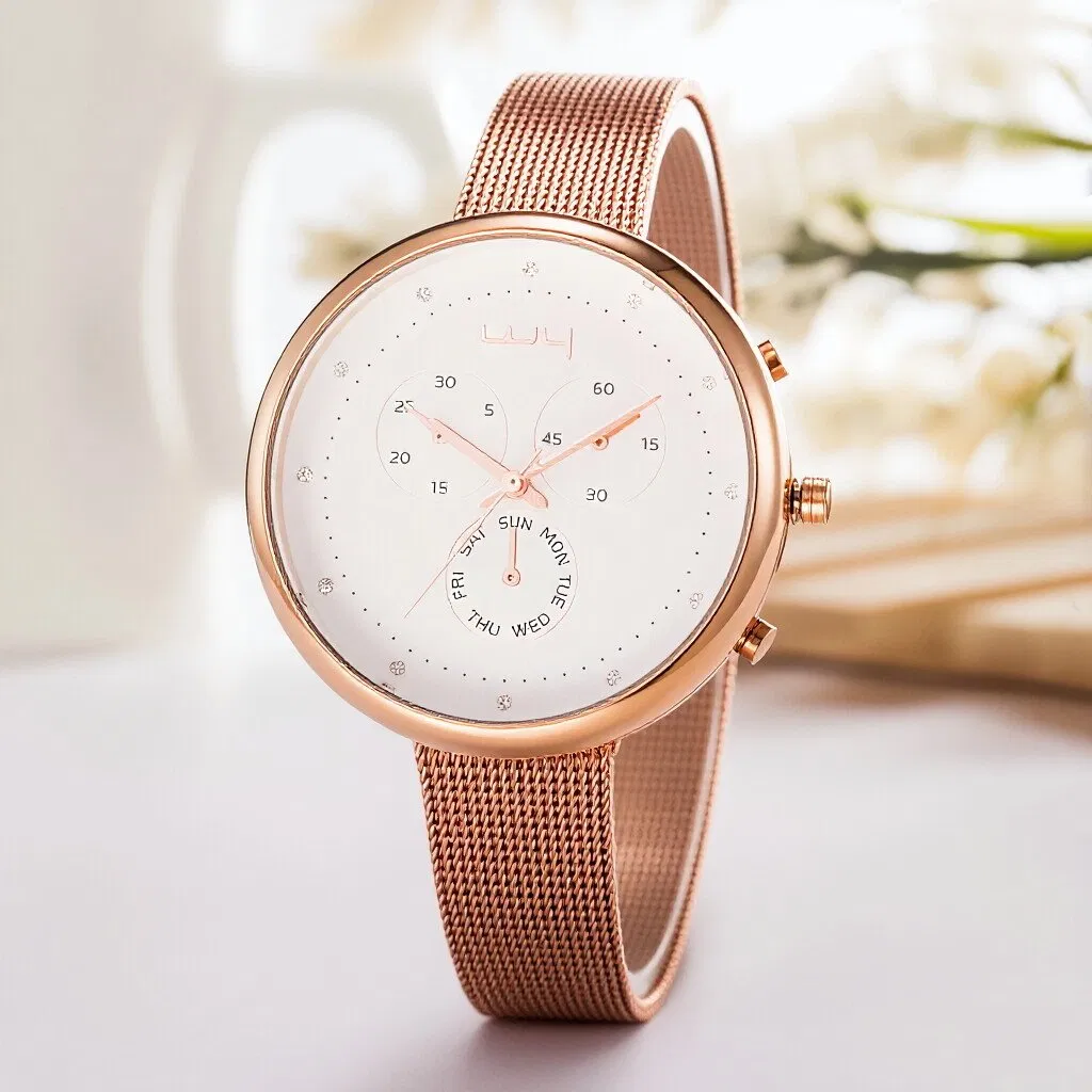 Stainless Steel Watch Classic Business Ladies' Watch (Wy-091D)