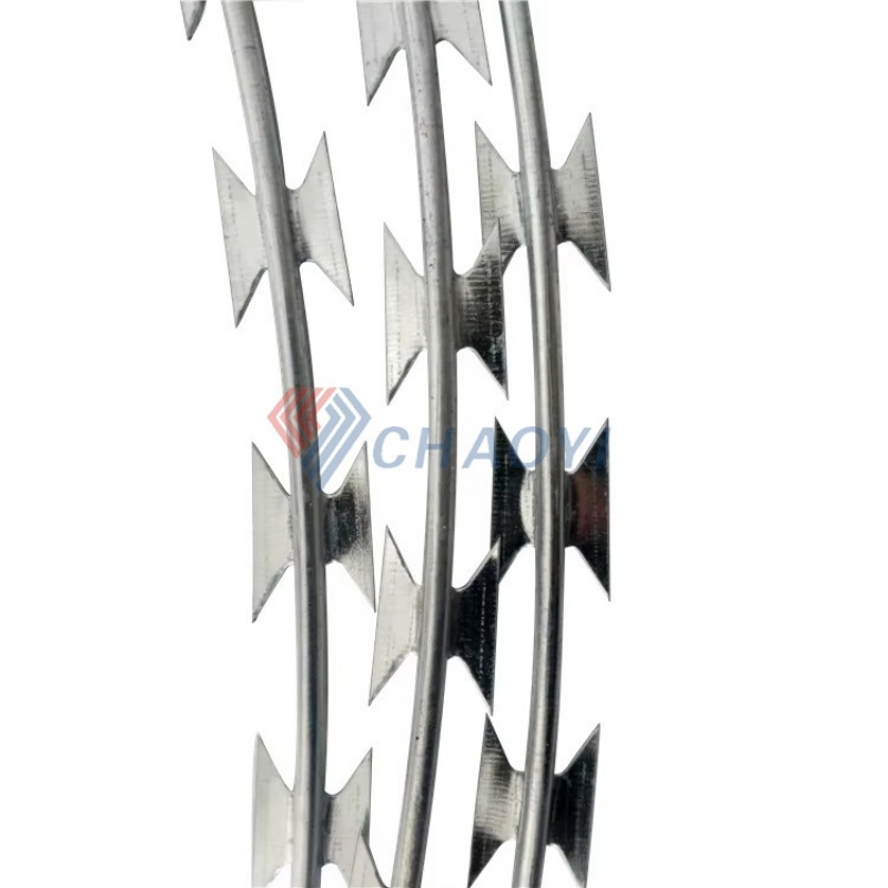 Security Protected Razor Barbed Wire (BTO-28)