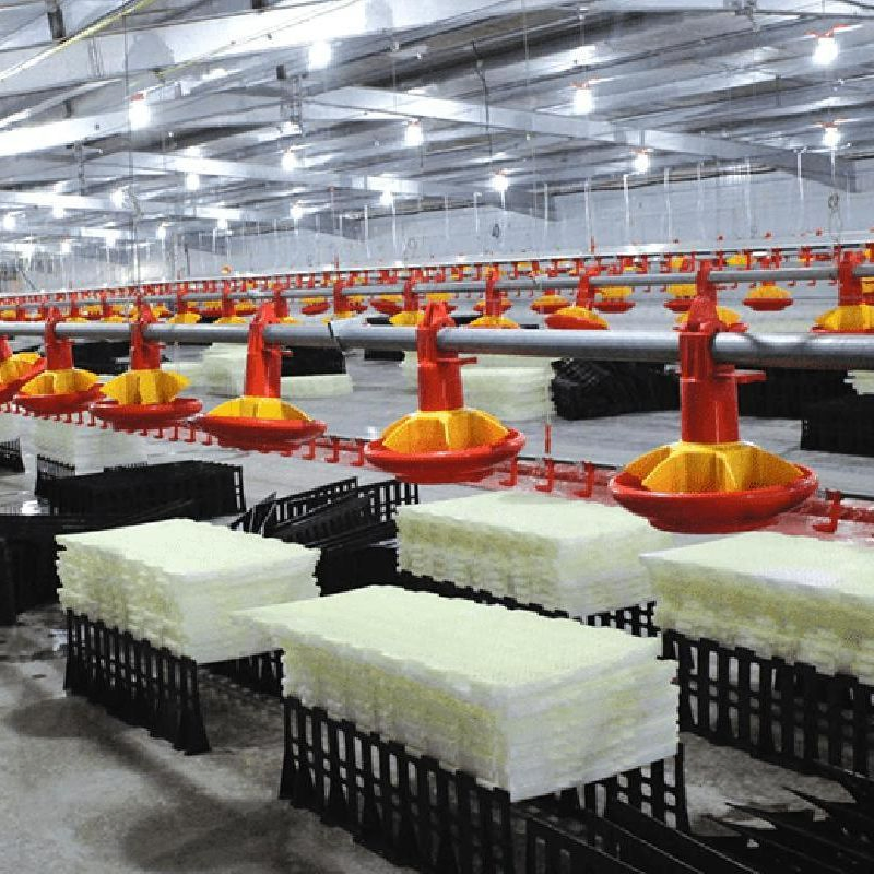 Prefab Steel Structure Farm Chicken Coop