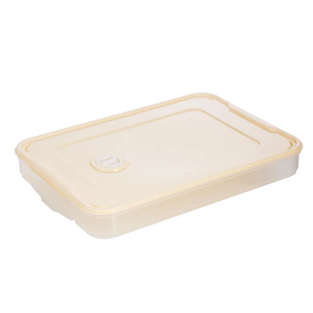 Food-Grade Three-Color Rectangular PP Dumpling Storage Container