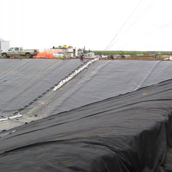 HDPE Geomembrane as Agriculture Pond Liner