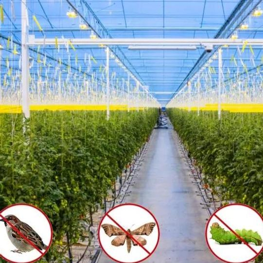 Manufacture Customized Sun-Shade Plastic Shade Net Nets with ISO