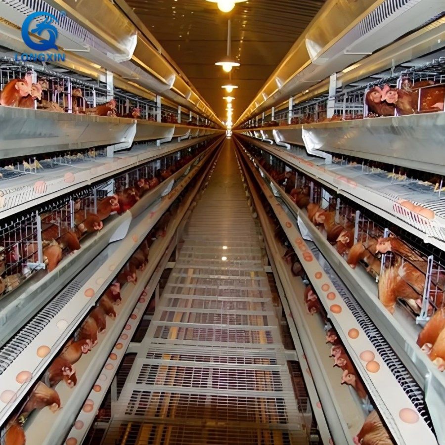 Longxinweiye Steel Works Broiler Poultry Farm House Design Egg Chicken House Building for Layers