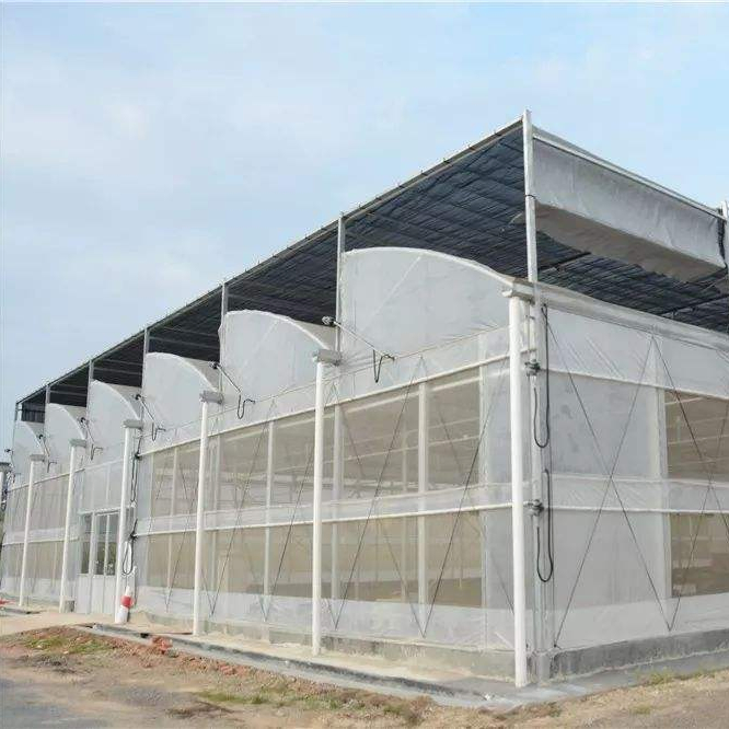 150mic -250 Mic Zigzag Vegetables Farden Warm Agro Multi Span Flower Greenhouses