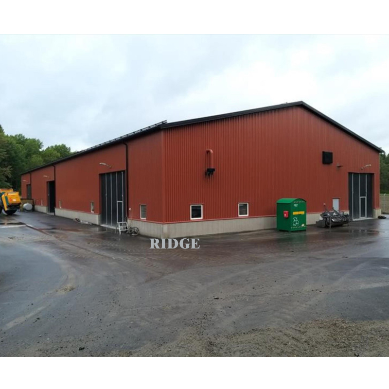 Big Space Warehouse Steel Structure High Quality Storage Factory Canopy