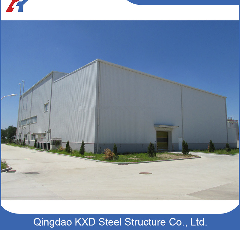 Steel Structure Prefabricated Metal Hangar/Shed
