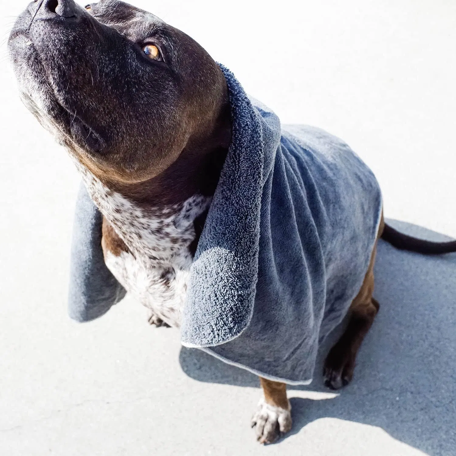 Custom Printed Strong Water Absorption Dog Towel Quick Dry Soft Polyester Pet Towel