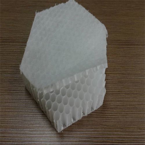 PP Honeycomb Core for Light Truck