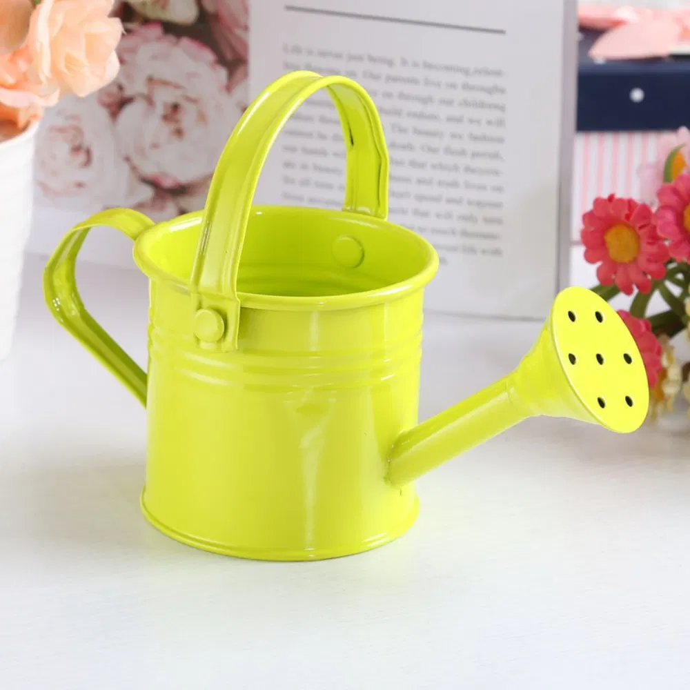 Mini Watering Can Metal Bucket Sprinkled Irrigation Ci24788
