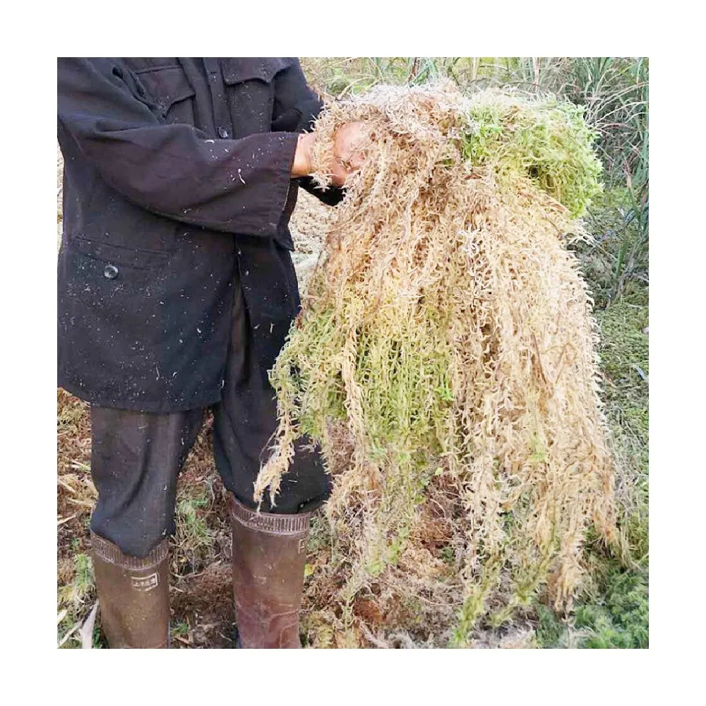 Sphagnum Moss Bulk - Cost - Effective Option for Big Orders