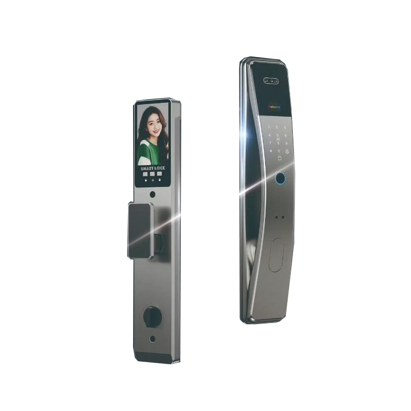 Economy 3D Face Unlock Alumnium Material Smart Lock