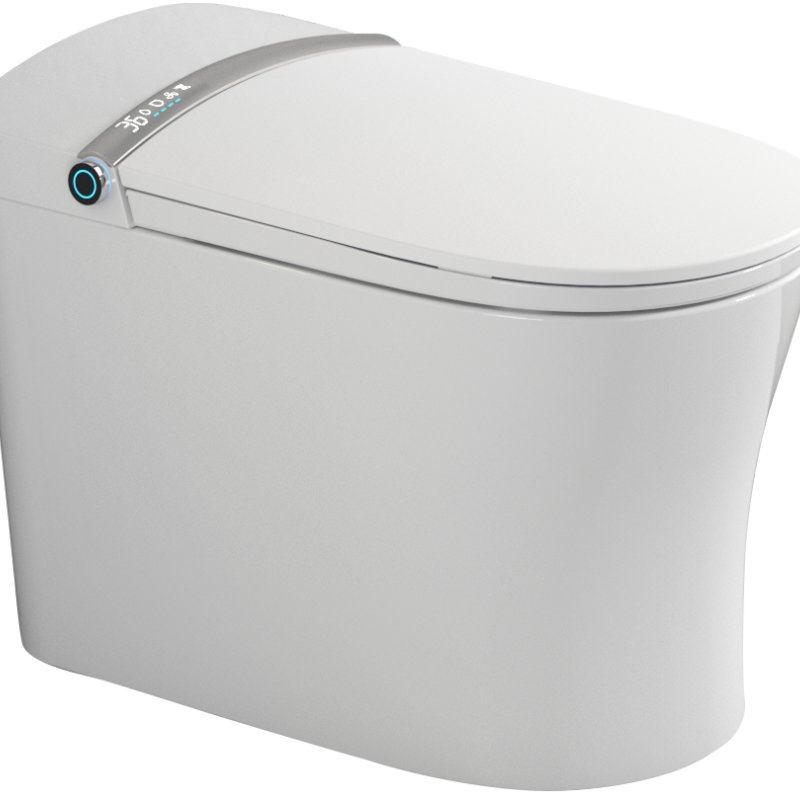 Fashionable and Highly Popular Intelligent Toilet