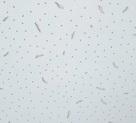 Premium Mineral Wool Ceiling Board with Pinhole Surface Design