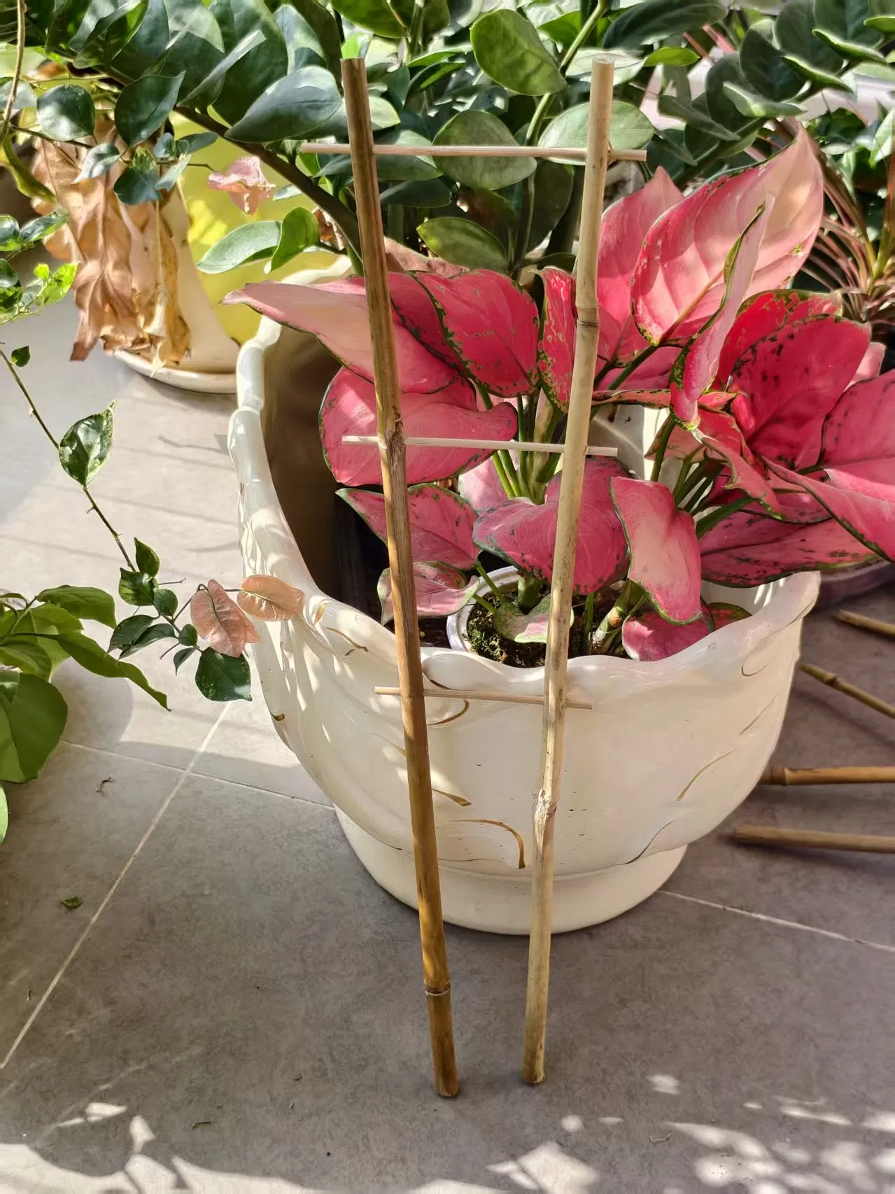 Bamboo Trellis U Bamboo Trellis Fan Trellis for Flowers Support and Growing