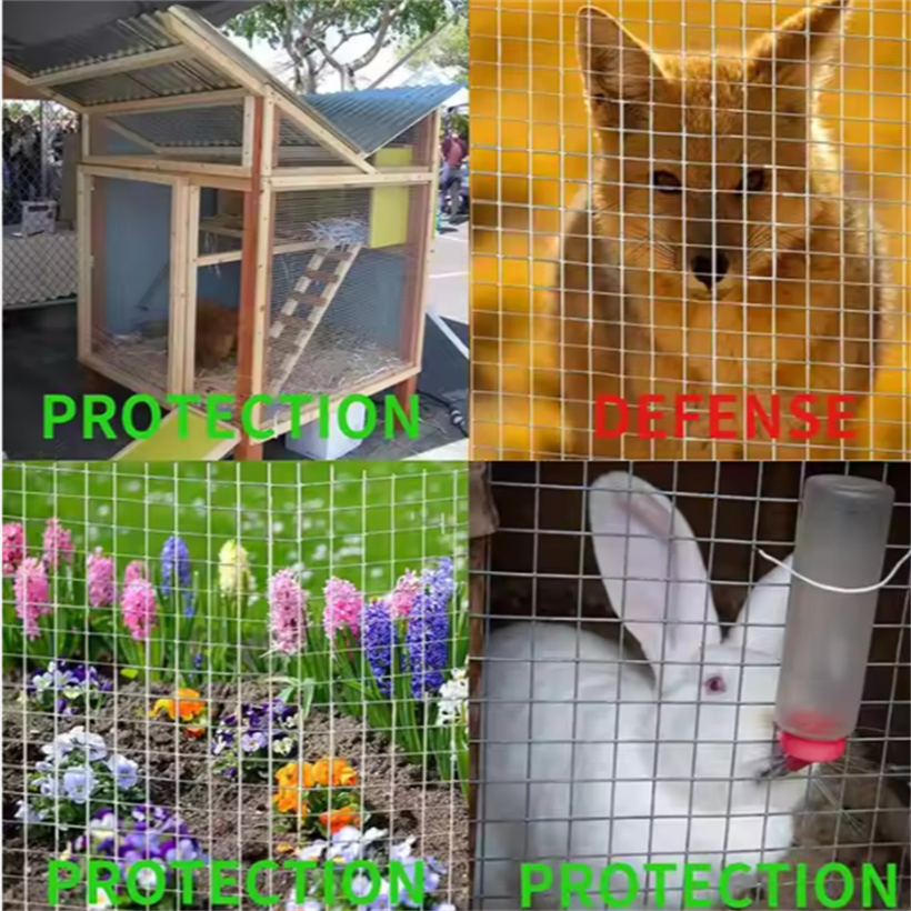 Fencing Steel Iron Wire Mesh for Farm Fencing Poultry Sheep Chicken Netting