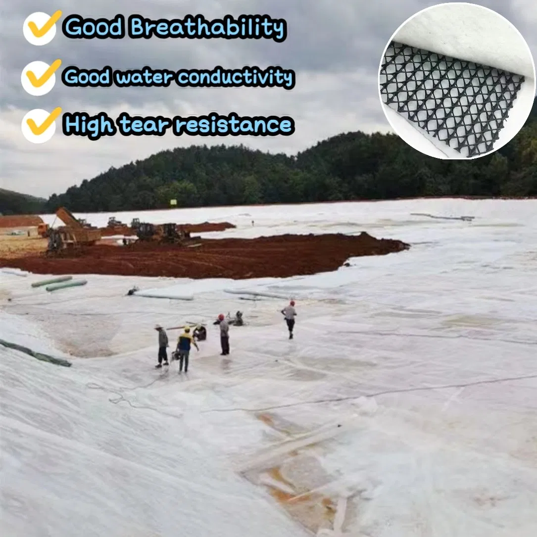 Permanent Drainage Infrastructure: 3D Composite Geonet for Canal Slope Stabilization