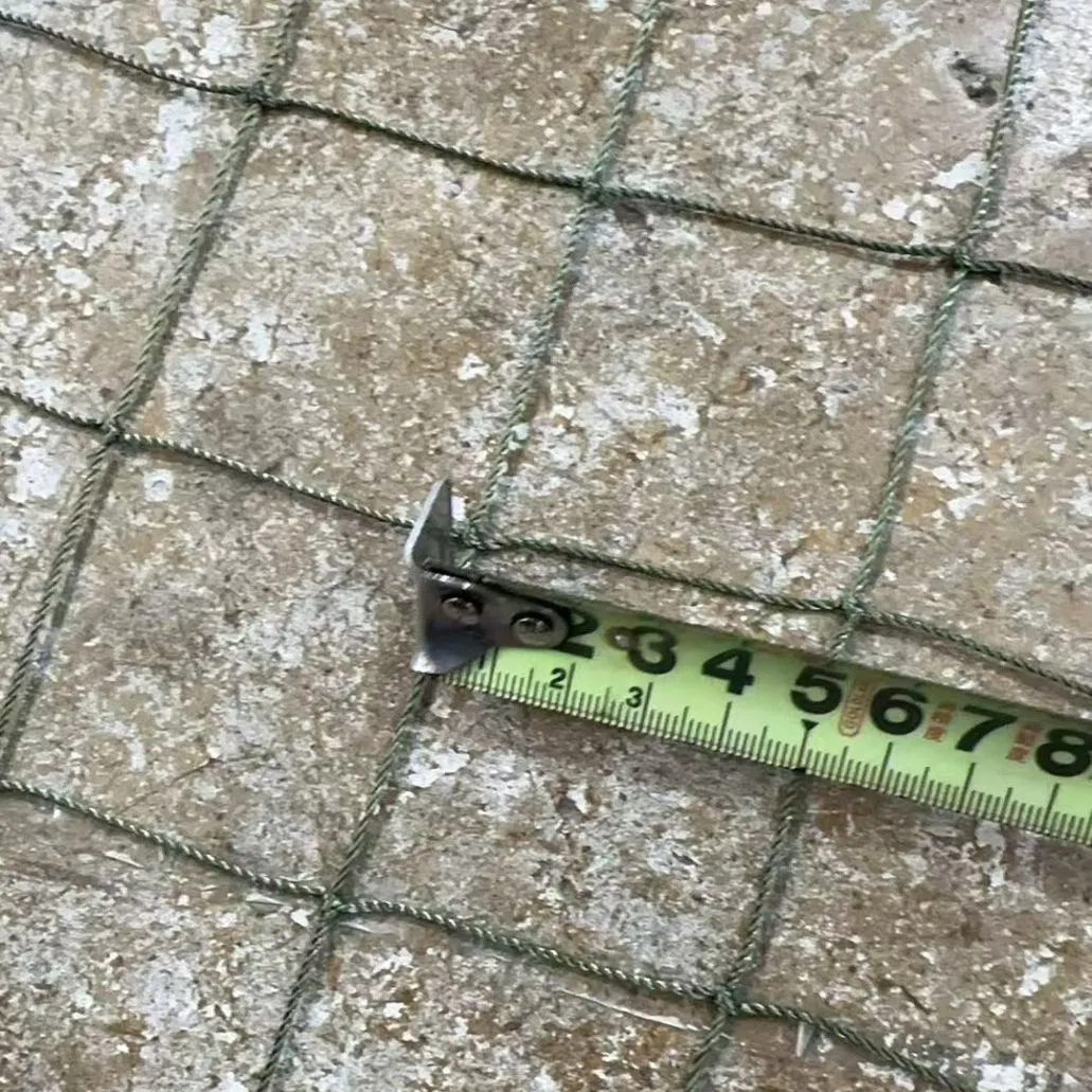 Supporting Rope Net 5X5cm Green White