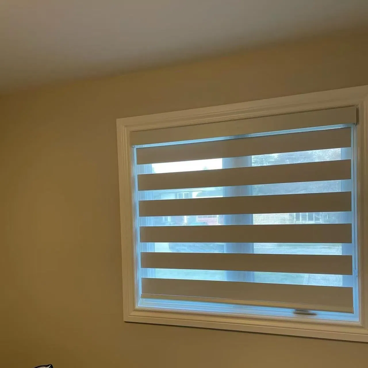 Modern Zebra Blind Fabric for Contemporary Home Styling