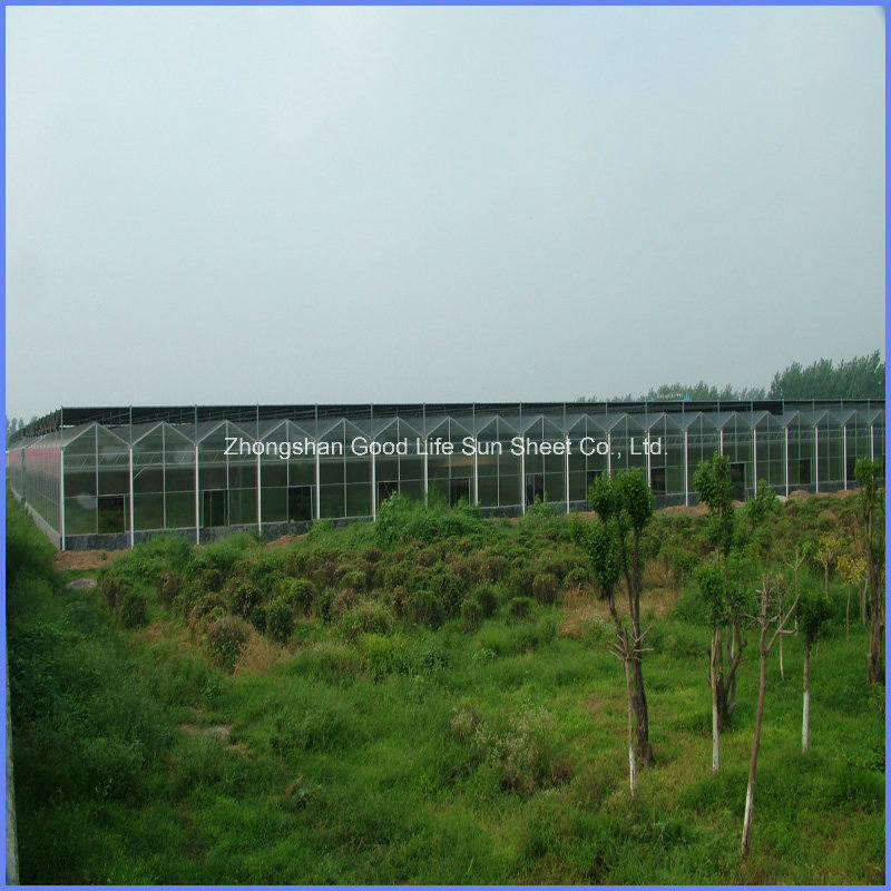 100% Bayer Virgin Material 4/6/8/10/12 mm Polycarbonate Hollow Sheet