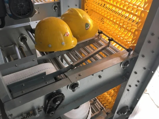 Prefab Chicken Egg Collection System Steel Layer House