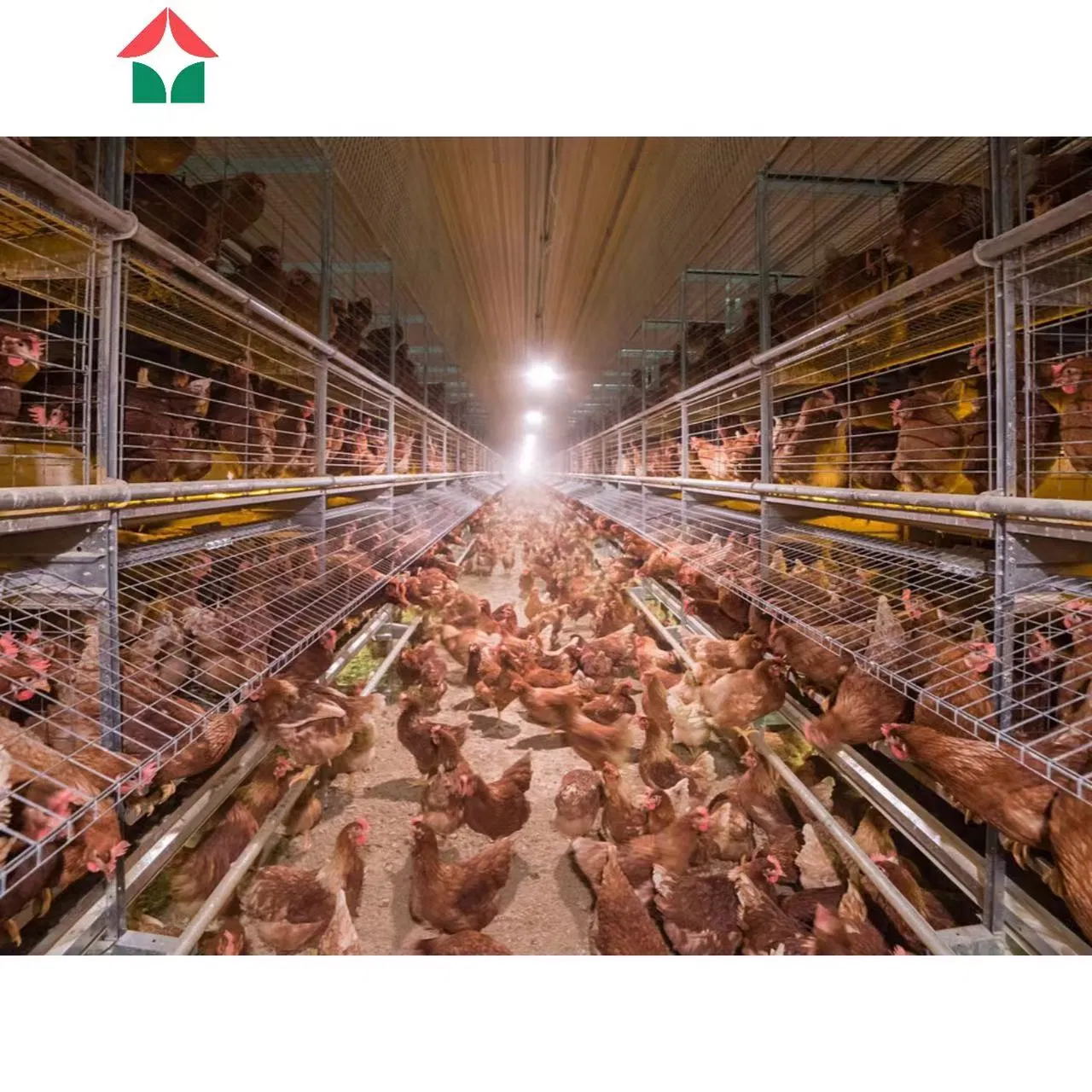 Customized Free Design Metal Frame Steel Construction Prefabricated Prefab Light Steel Structure/Chicken Sheds/Broiler Farm/Poultry Farm