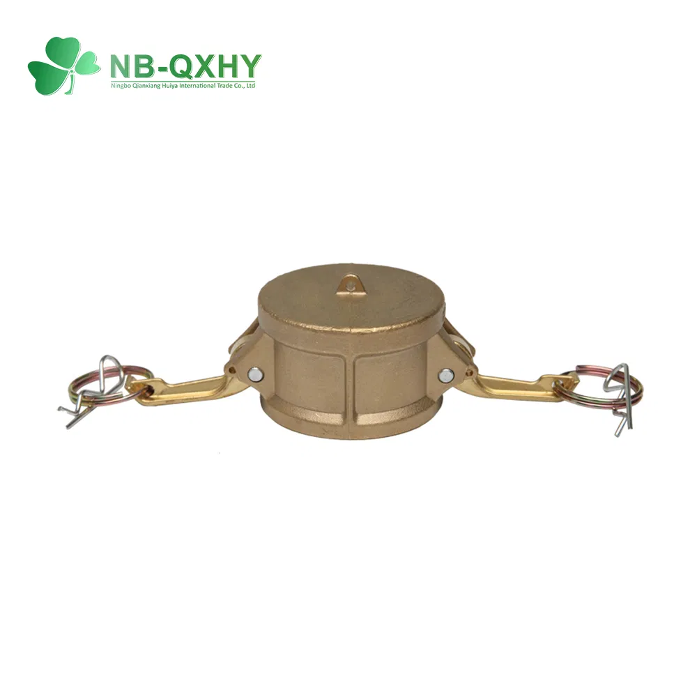 Stainless Steel 316 Dust Cap Camlock Quick Coupling Series Type DC