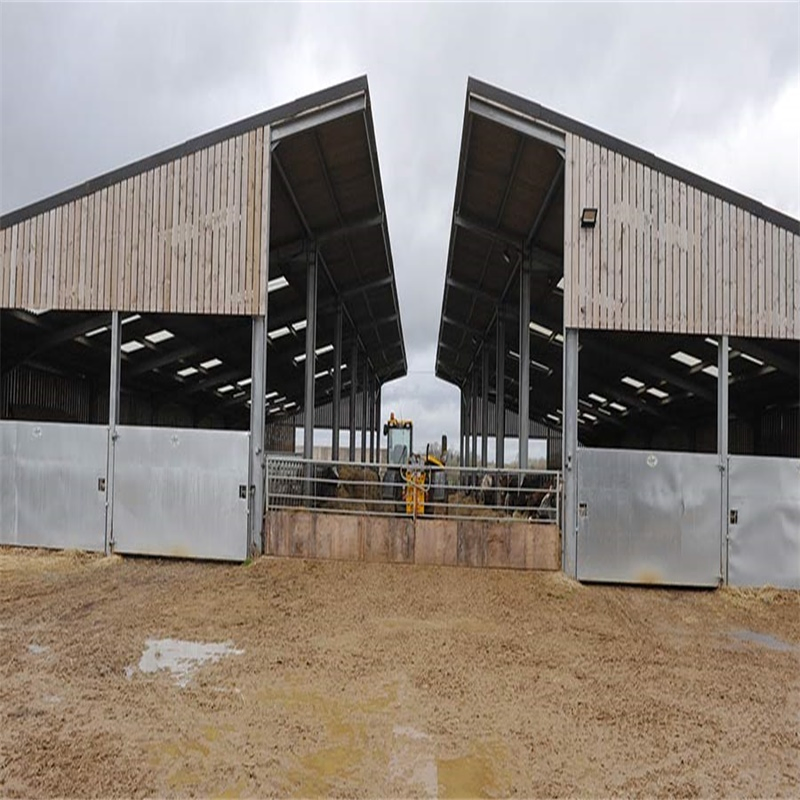 GB Standard Prefabricated Light Steel Structure Cow Diary Shed