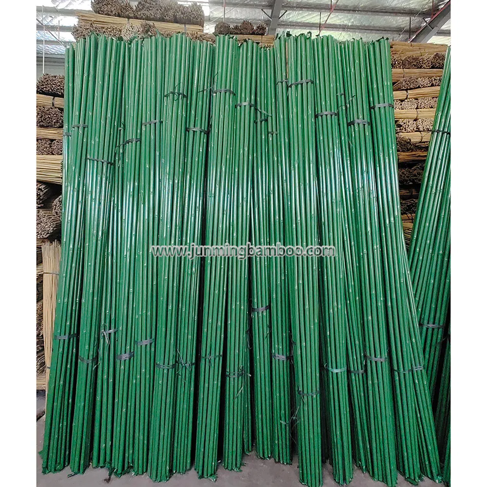 Factory Price Natural Raw Plastic Coated Tonkin Bamboo Poles for Grape Support