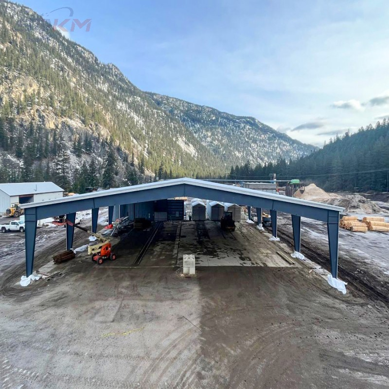 Prefabricated Commercial Steel Structures for Shopping Malls Office Buildings Retail Stores